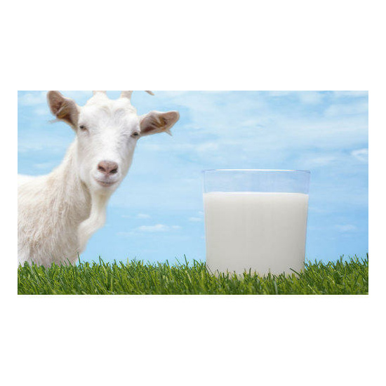 Goats Milk Liquid Soap Base (500ml)