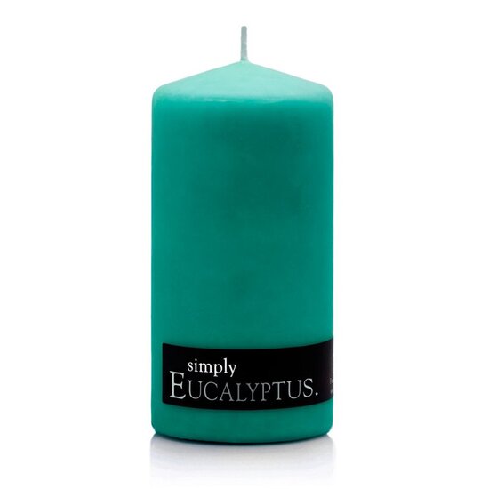 Eucalyptus - Pillar Candle