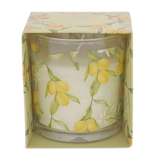 Lemon & Verbena - Botanic Garden Candle