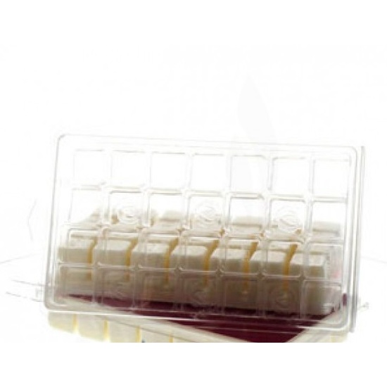 Clam Shell Melt Mould - 28 Cavity (x5)
