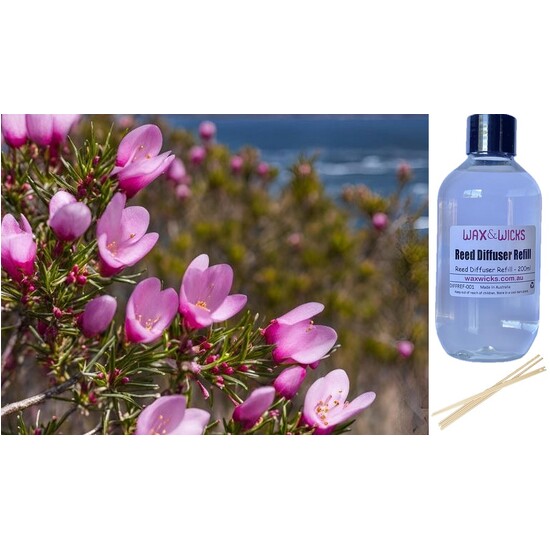 Boronia in Bloom - Reed Diffuser Refill 