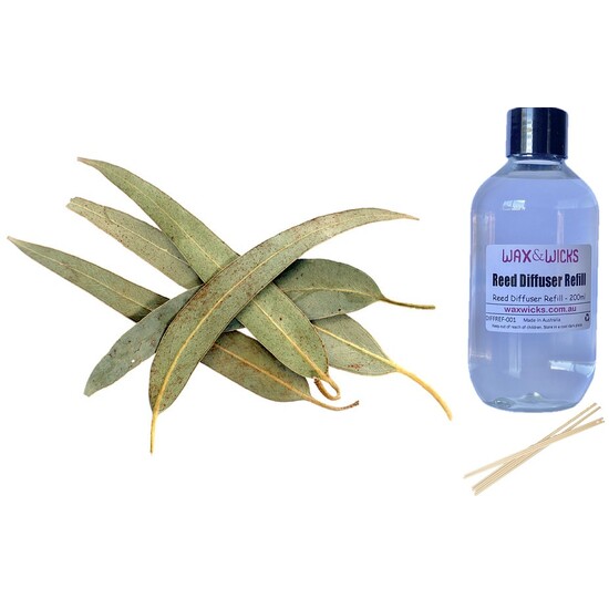 Eucalyptus Leaf - Reed Diffuser Refill 