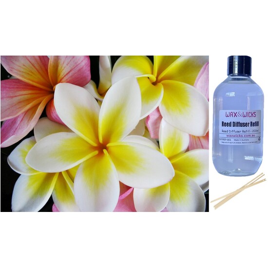 Frangipani - Reed Diffuser Refill 