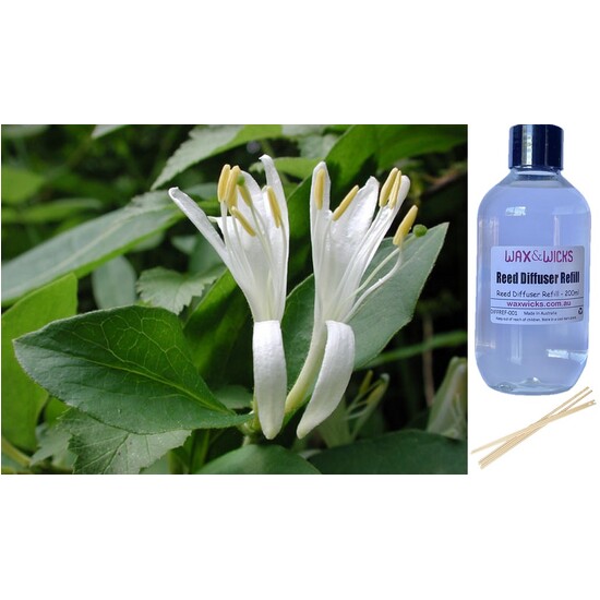 Japanese Honeysuckle - Reed Diffuser Refill 
