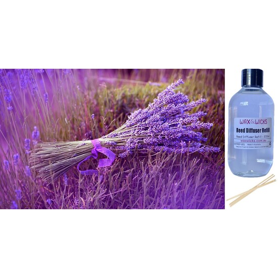 Lavender - Reed Diffuser Refill 