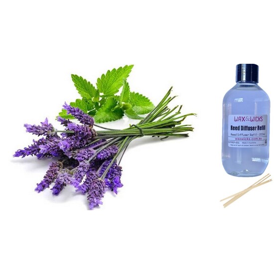 Lavender & Mint - Reed Diffuser Refill 