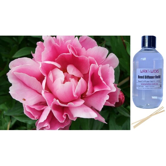 Pink Peony - Reed Diffuser Refill 