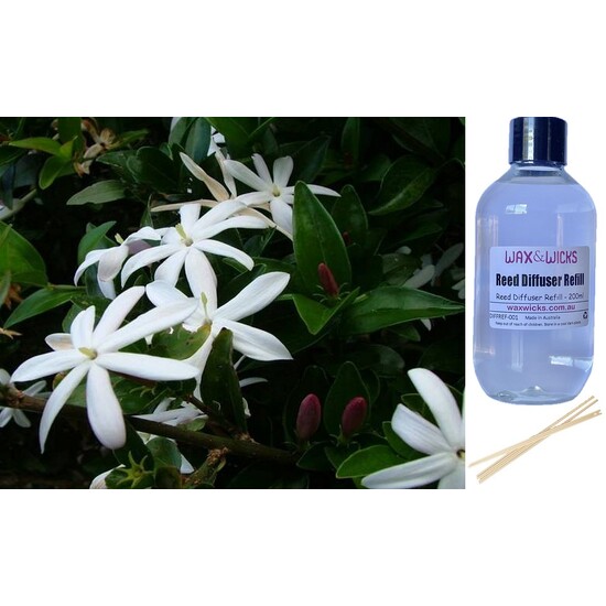 Wild Jasmine - Reed Diffuser Refill 