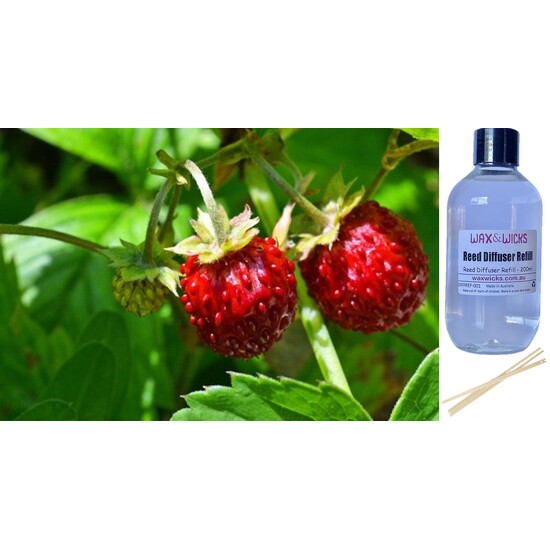 Wild Strawberry - Reed Diffuser Refill 