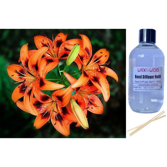 Tigerlily Blossom - Reed Diffuser Refill 