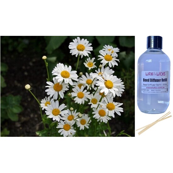 Daisy - Reed Diffuser Refill 