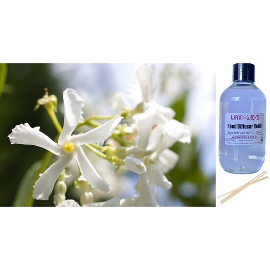 Jasmine & Magnolia - Reed Diffuser Refill 