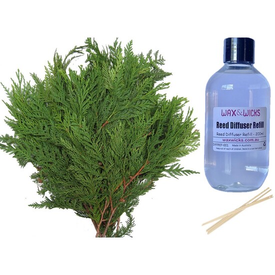 Christmas Cedar - Reed Diffuser Refill 