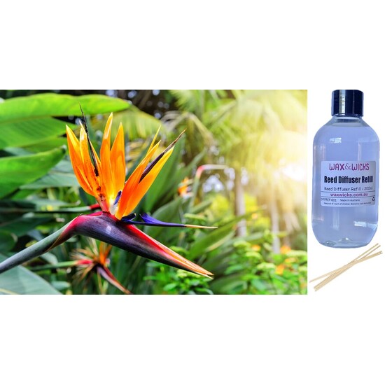Birds of Paradise - Reed Diffuser Refill 