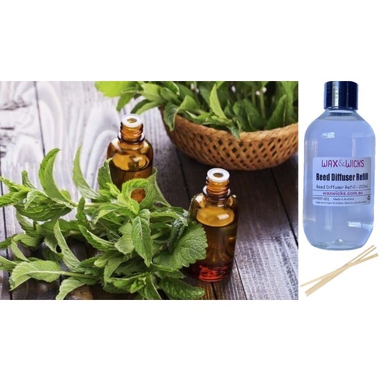 Peppermint & Eucalyptus - Reed Diffuser Refill 