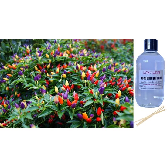 Rainbow Pepper - Reed Diffuser Refill 