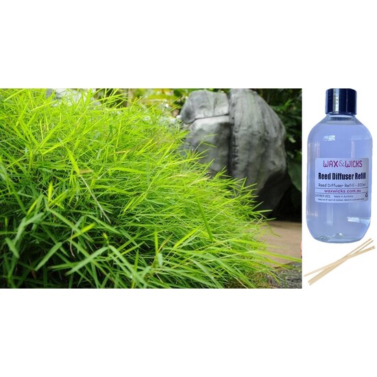 Australian Bamboo Grass - Reed Diffuser Refill 