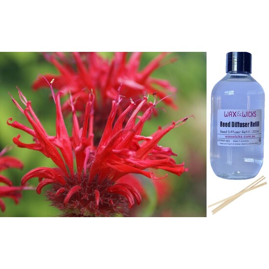 Bergamot & Banksia - Reed Diffuser Refill 