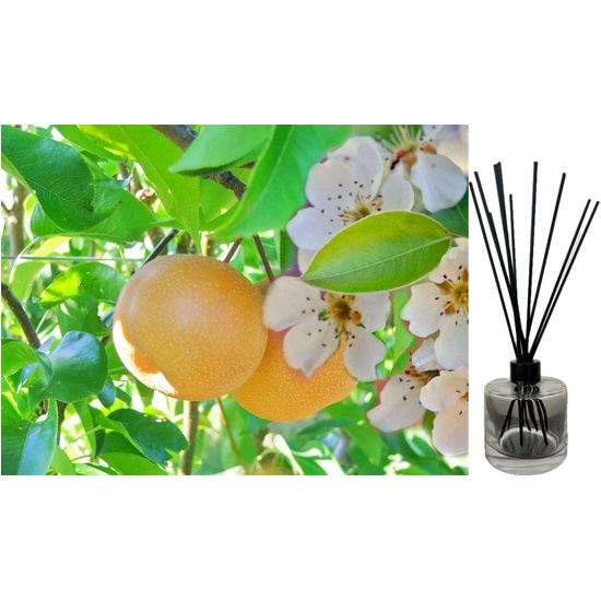 Asian Pear & Lily - Reed Diffuser