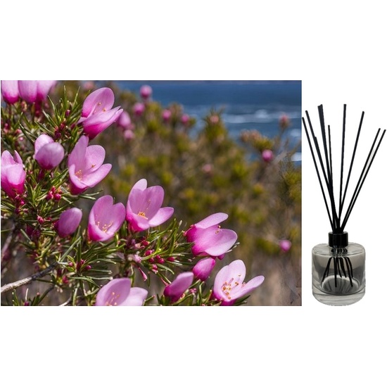 Boronia in Bloom - Reed Diffuser