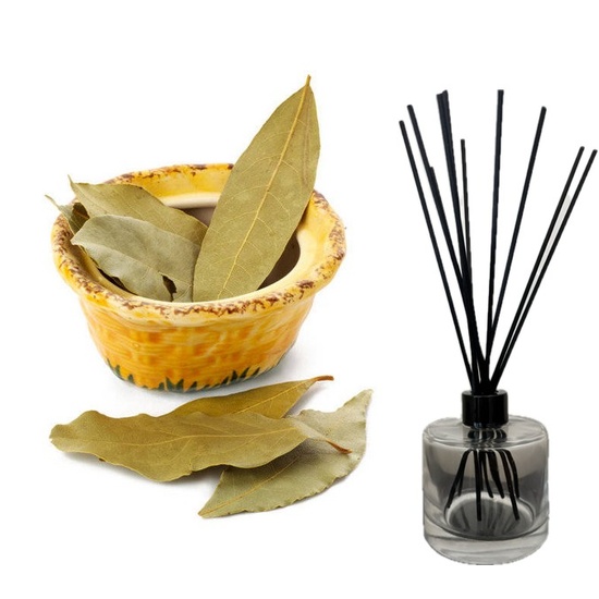 Bay Rum - Reed Diffuser