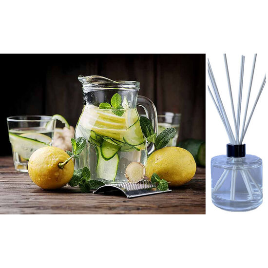 Cucumber Ginger & Mint - Reed Diffuser