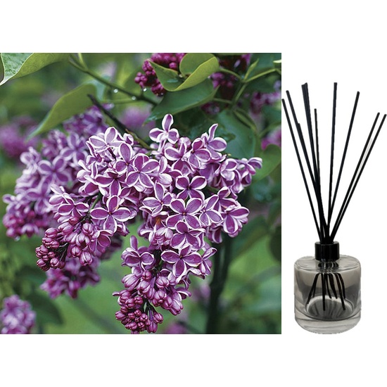 French Lilac - Reed Diffuser