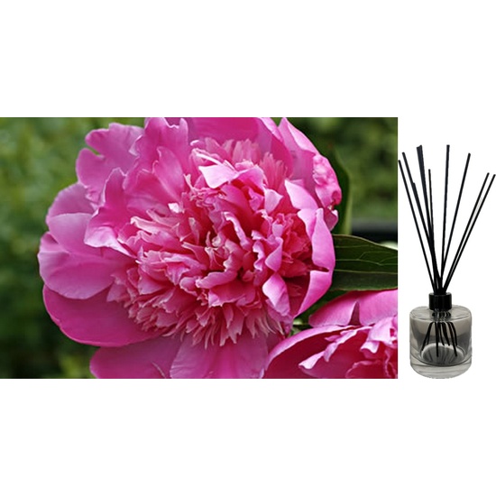 Peony Rose - Reed Diffuser