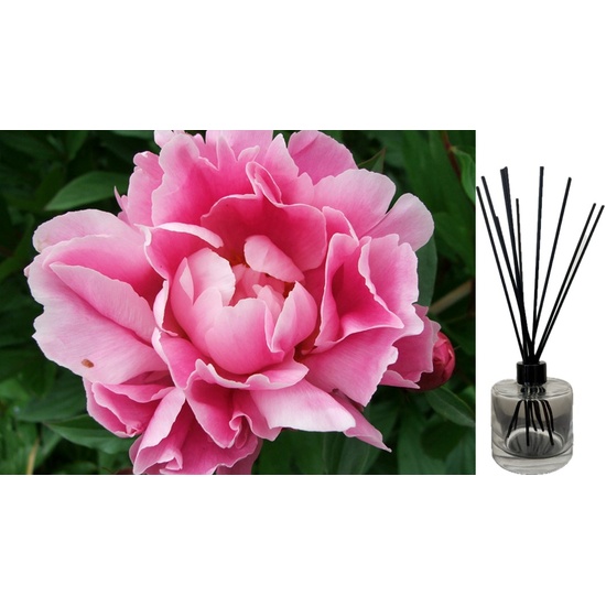 Pink Peony - Reed Diffuser