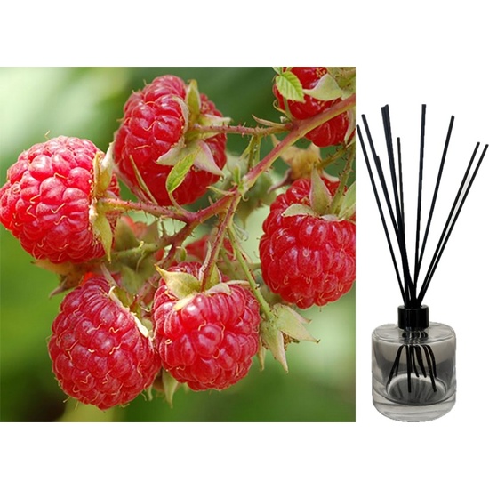 Sun Ripened Berry - Reed Diffuser