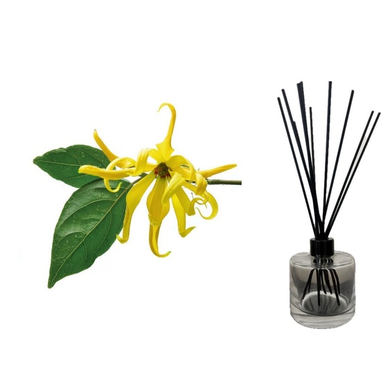 Ylang Vanille - Reed Diffuser