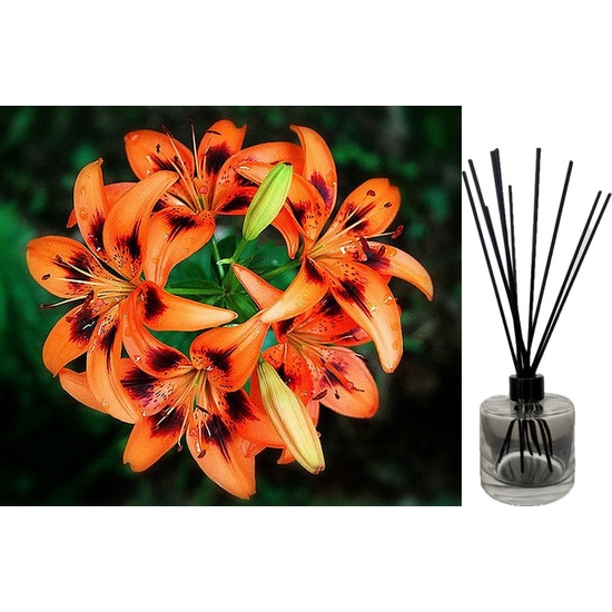 Tigerlily Blossom - Reed Diffuser