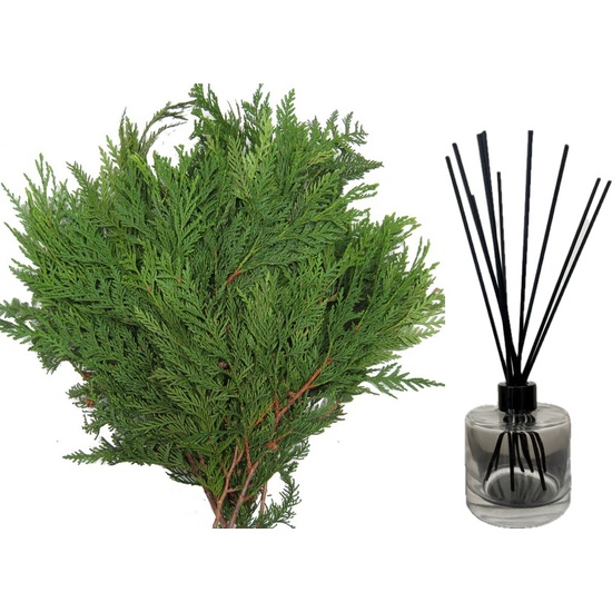 Christmas Cedar - Reed Diffuser