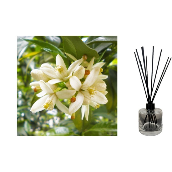 Neroli & Ylang Ylang - Reed Diffuser