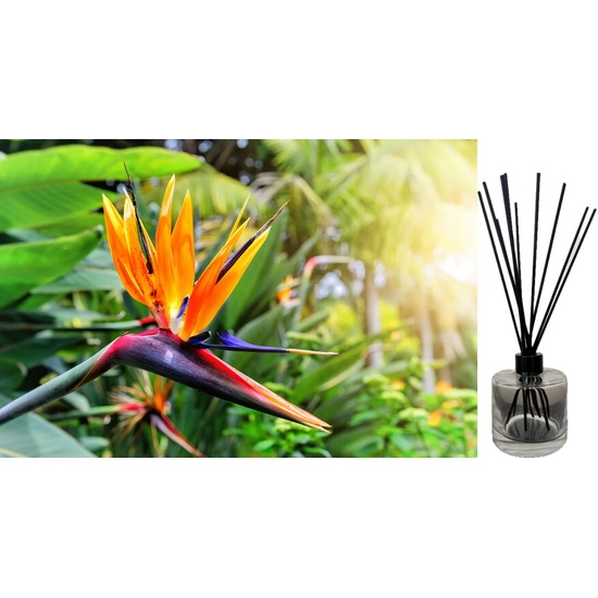 Birds of Paradise - Reed Diffuser