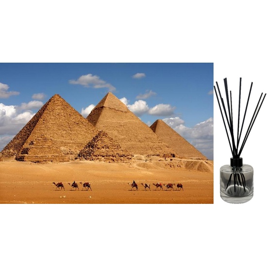 Egyptian Musk - Reed Diffuser