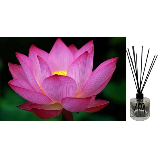 Lotus Flower - Reed Diffuser