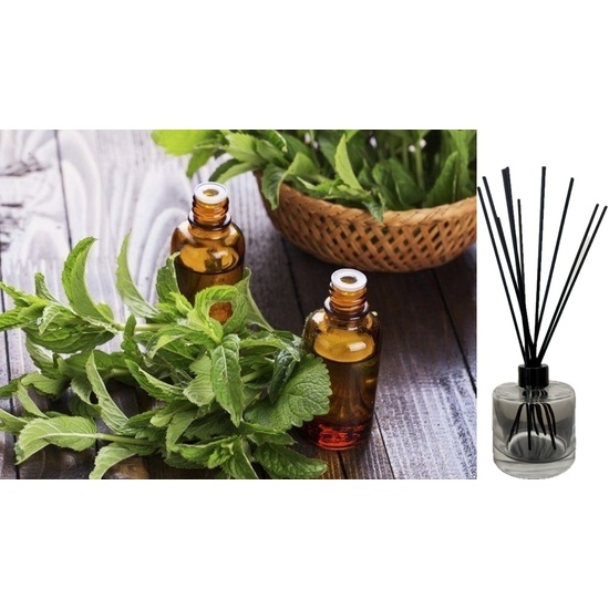 Peppermint & Eucalyptus - Reed Diffuser