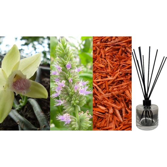 Vanilla, Patchouli & Sandalwood - Reed Diffuser