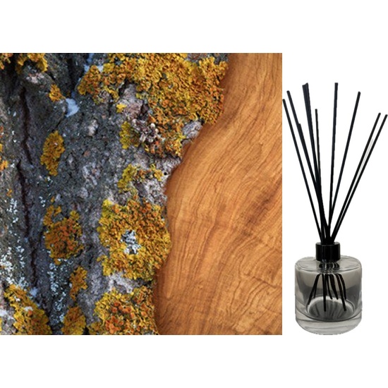 Amber Moss & Teak - Reed Diffuser