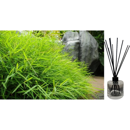 Australian Bamboo Grass - Reed Diffuser