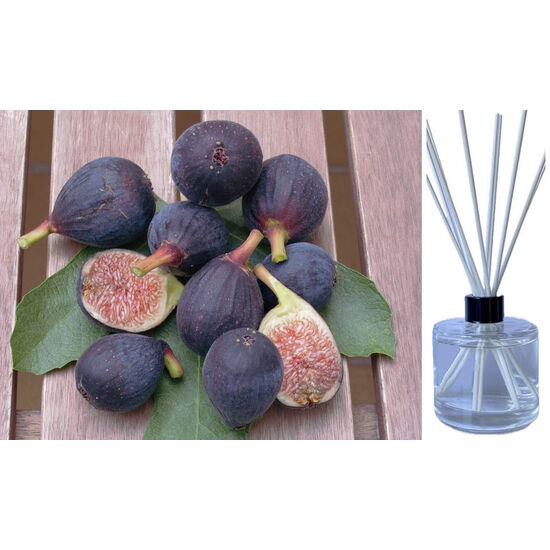 Black Fig & Guava - Reed Diffuser