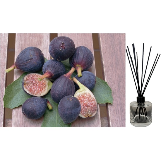 Black Fig & Guava - Reed Diffuser