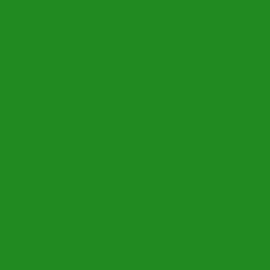 Dye Block - Forest Green