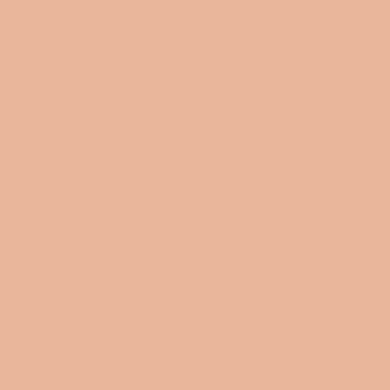 Dye Block - Peach Blossom
