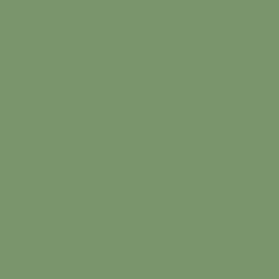 Dye Chips - Bayberry (x10)