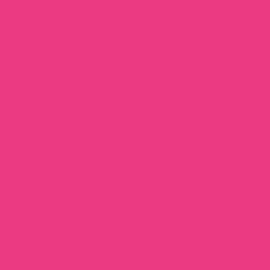 Dye Chips - Cerise (x10)