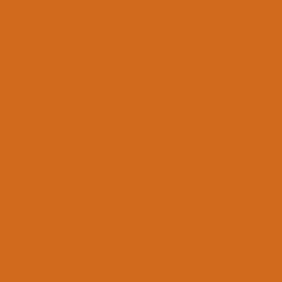 Liquid Dye - Cinnamon (10ml)