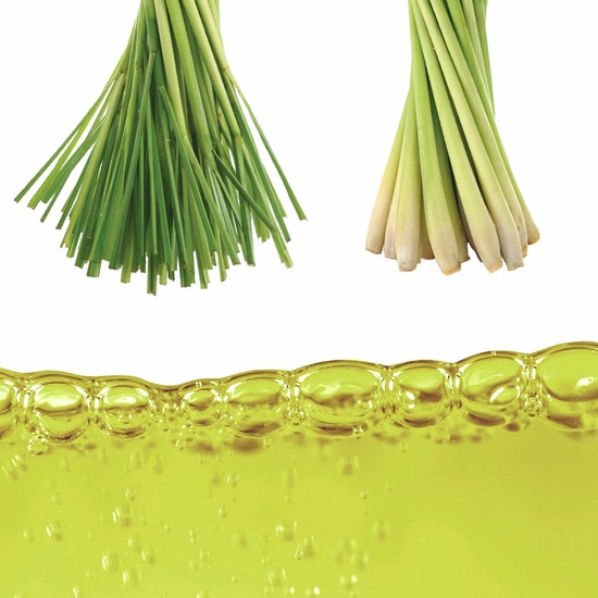 Lemongrass Cochin - Essential Oil (10ml)