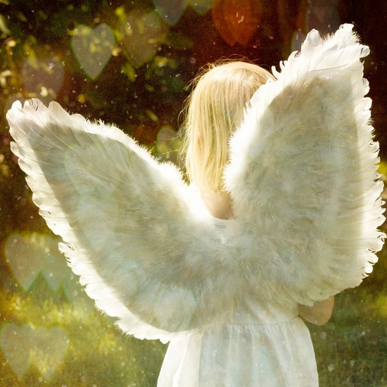 Angel Wings - Fragrance Oil